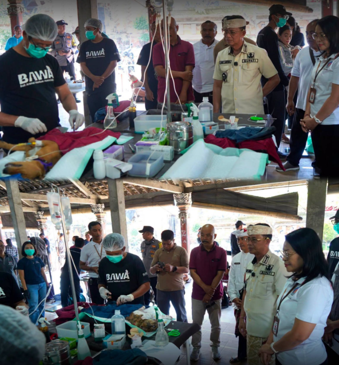 Bupati Klungkung, I Made Satria, meninjau layanan sterilisasi dan vaksinasi gratis Hewan Penular Rabies (HPR) di Desa Gunaksa
